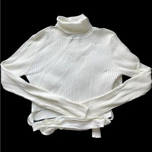 Crop Turtle neck top